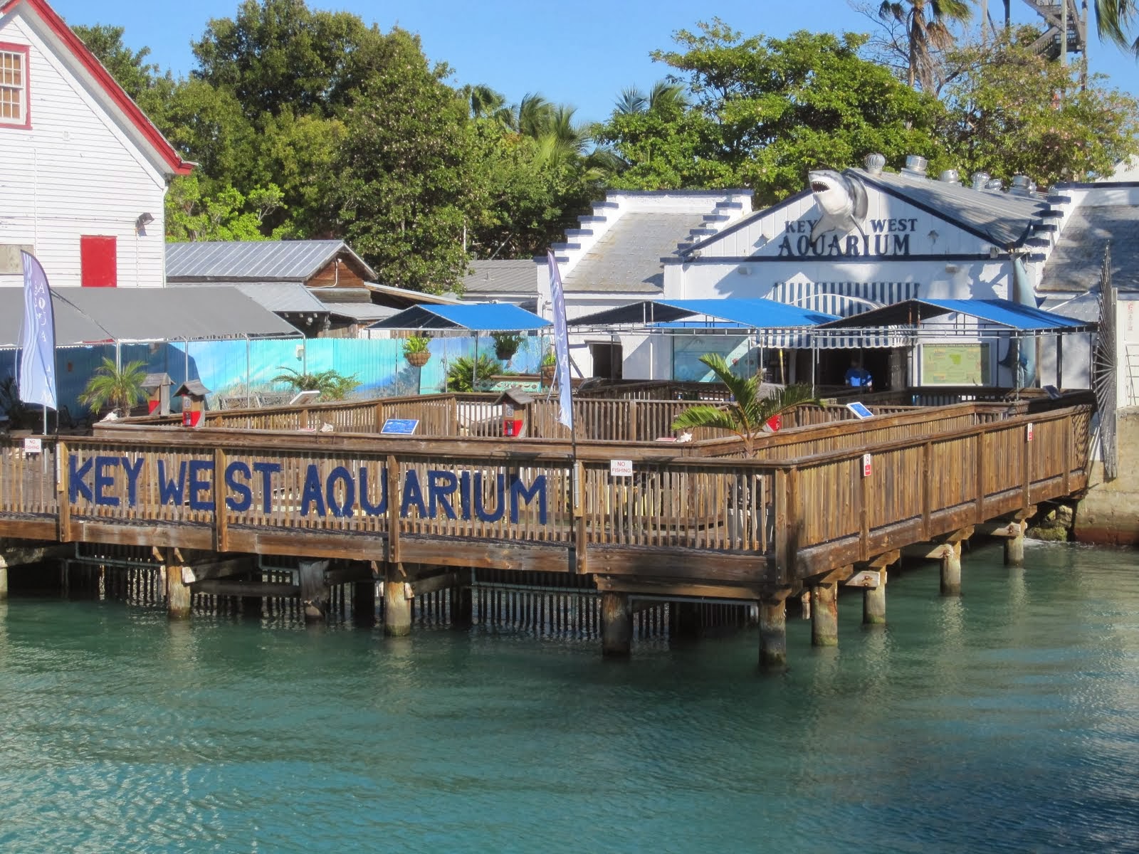 Party in Key West...because isn't that just what we do?! TOP 10 Things